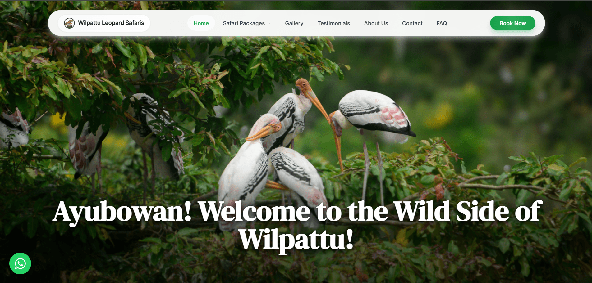 Wilpattu Leopard Safaris